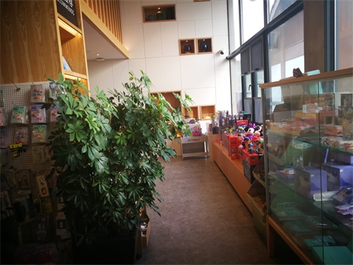 带大家看看时见鹿书店，黄晓明的《中餐厅》有没有拍到这些呢