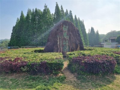 ​南京登紫金山
