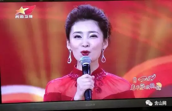 安徽女主持人有哪些(安徽女主持人名单表) 安徽 主持人 第3张