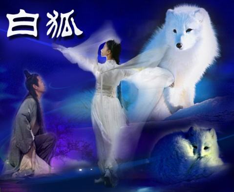 歌手陈瑞为什么不红(陈瑞为什么歌红人不红)  第2张