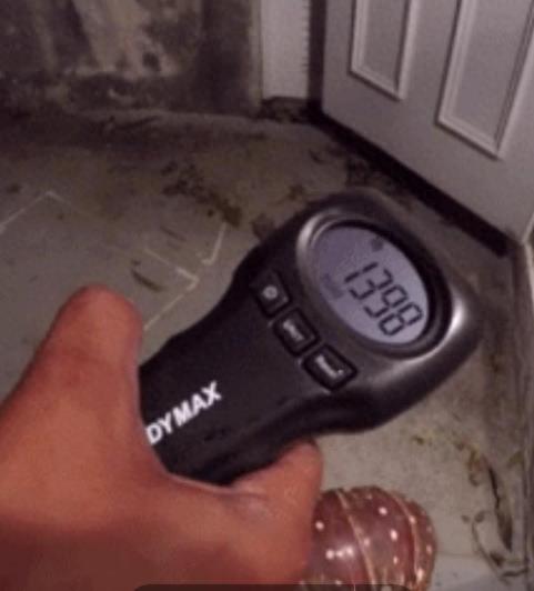 百慕大渔民捕获巨型“龙虾王”，上岸后引居民围观 纷纷劝他放生