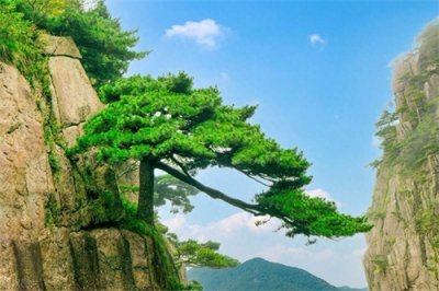 ​安徽最值得去的7个地方，有车没车都要抽空走一趟，你去过几个？