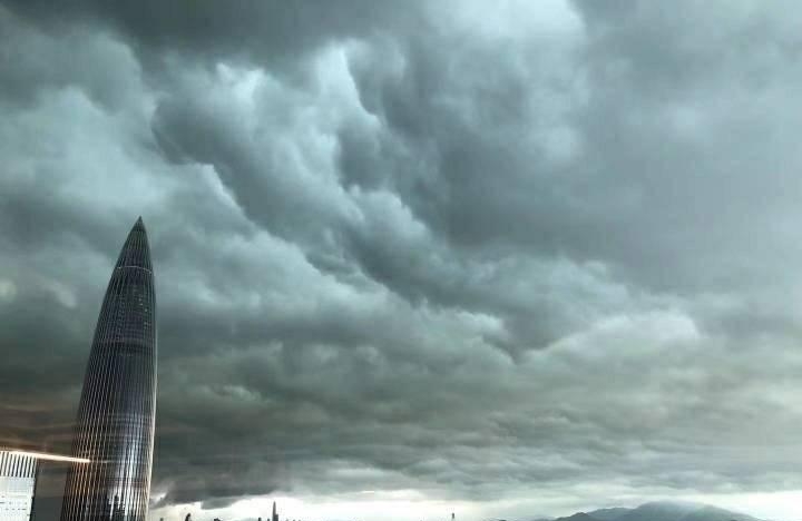 赵薇出什么事了(赵薇没消息了吗) 赵薇 第4张