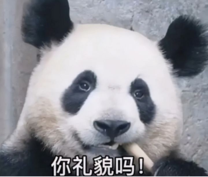 你礼貌吗是什么梗（一文了解网络流行梗你礼貌吗的含义）