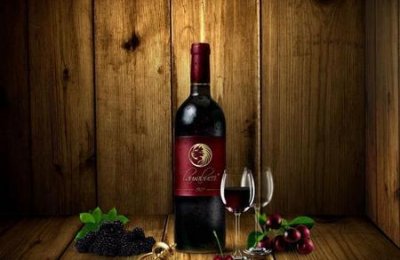 ​送客户什么礼品比较好(回馈客户的礼品选择什么比较好)