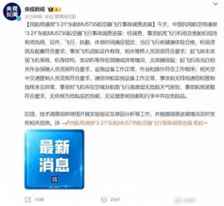 ​闹大了，东航致132人遇难调查，事发航班飞机无故障，评论区炸