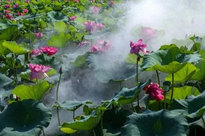 ​如何理解“开源节流”呢？