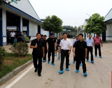 ​枝江市来泌阳县考察夏南牛产业发展工作