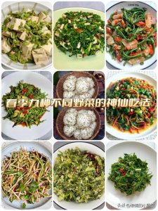 ​九种野菜的做法！赶紧收藏起来吧！明天给自己安排！