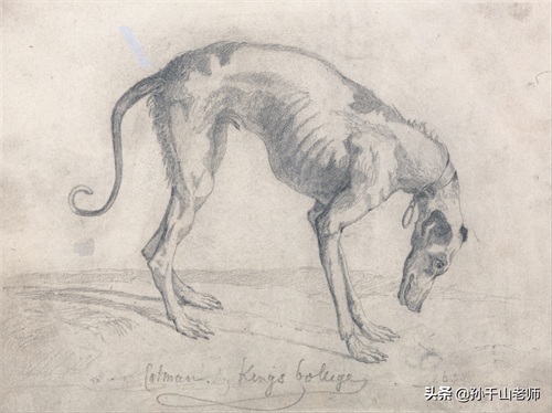 大师素描速写作品欣赏