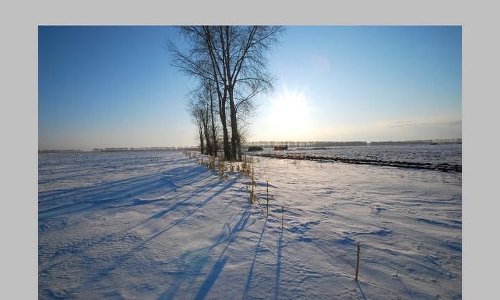 每年都有个节日是老百姓的节日吗