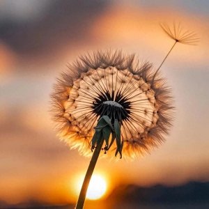 ​微信头像男士＃优质小众独特简约头像男#优质头像 #孤独感拉满