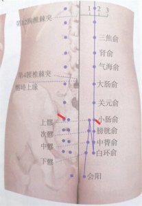 ​每日一穴——小肠俞