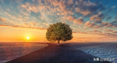 ​懂得放手，是一种睿智