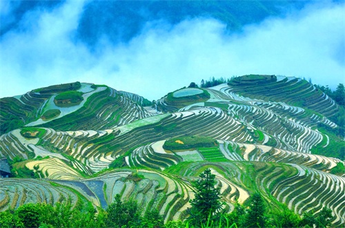 梯田世界之冠——桂林龙脊梯田