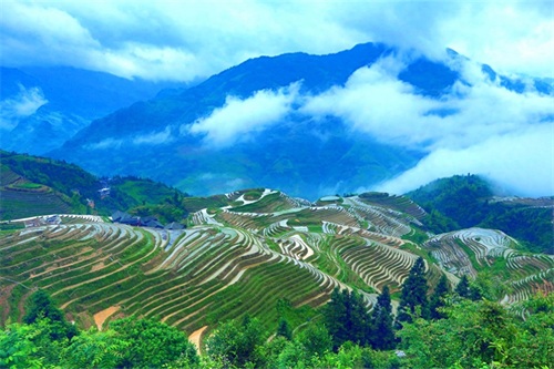 梯田世界之冠——桂林龙脊梯田