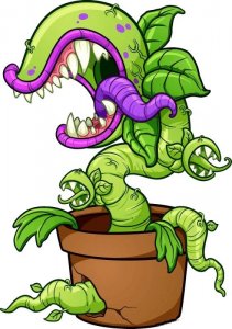 ​食人花真的会吃人吗？