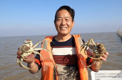 ​大通湖治水5年后，首次实验性养殖大闸蟹开捕啦！