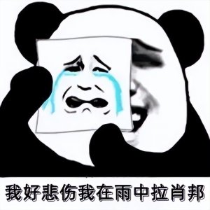 ​又见双面人！她是“精日分子”，出名后试图删除言论建立完美人设