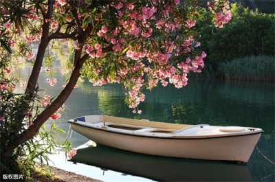 ​夏日炎炎正好眠，5首初夏午睡古诗词，感受慵懒的夏天