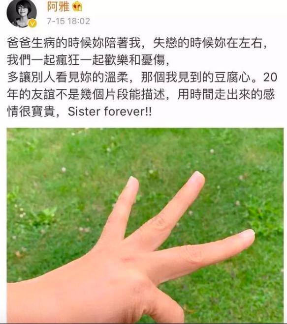 阿雅个人资料及简介（被大小S光环遮住的阿雅）(4)