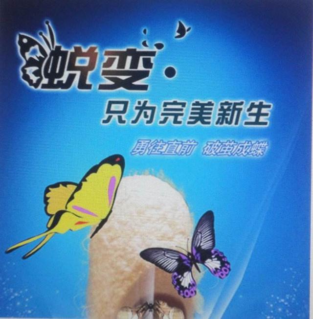 阿雅个人资料及简介（被大小S光环遮住的阿雅）(6)