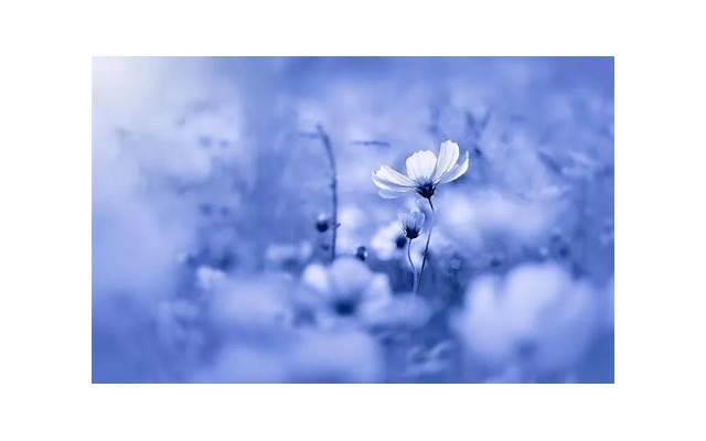 男生学会这三种说话技巧， 女生做梦都会想约你