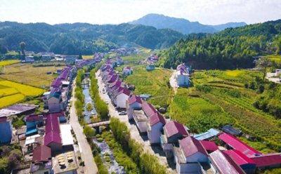 ​农村要规划建房？真的吗？是统一建设吗？真相来了