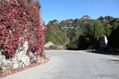 ​深秋自驾游，走进“青松岭”