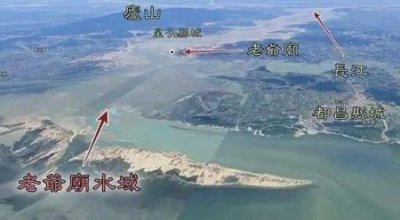 ​东北虎爪哇虎华南虎种类