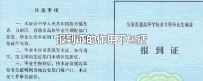 ​报到证的作用不包括
