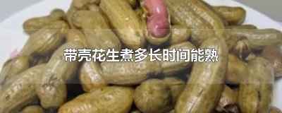 ​带壳花生煮多长时间能熟