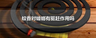 ​蚊香对蟑螂有驱赶作用吗视频教程 蚊香能驱蟑螂