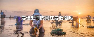 ​赶海是要等退潮到最低的时候吗 退潮什么时候赶海合适