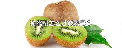 ​怎样才能使猕猴桃熟得快一点? 怎样才能使猕猴桃熟得快一点儿