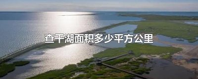 ​查干湖面积多少平方公里