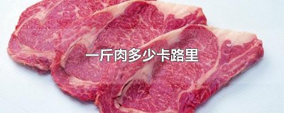 ​一斤肉多少卡路里