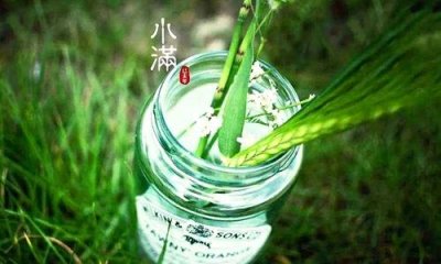 ​小满养生食谱