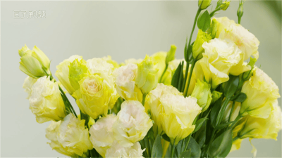 ​如何保鲜花更长 为了延长鲜花的保鲜期简化知识怎么做效果会更好