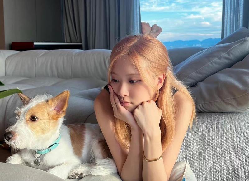 抖音朋友互动案牍（抖音朋友互动案牍资料）