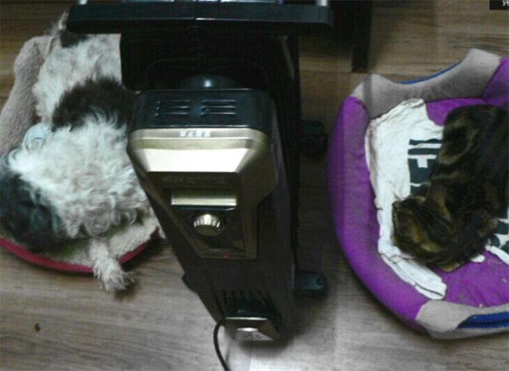 油汀费电还是空调费电（油汀取暖和空调取暖费电对比）