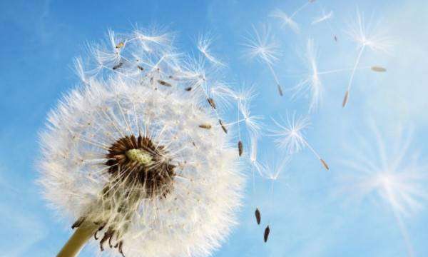 种子的传播方法,各种种子传播的方法图2