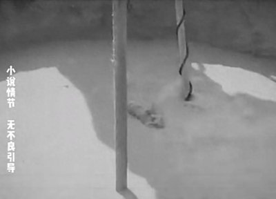 ​我在工地看到的生桩1