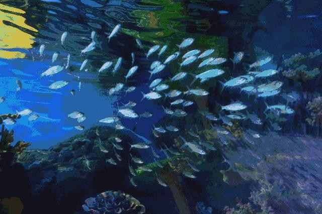 重磅！西北最大的海洋王国正式开业！西安爸妈溜娃的又一好去处！