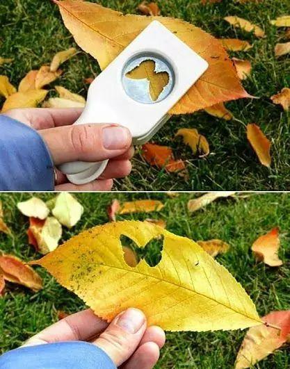 幼儿园树叶粘贴画, 快来展示你的创意!