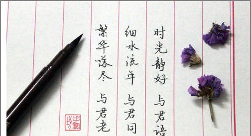 繁华落尽与君老,细水流年与君同繁华落尽与君老的意思图1