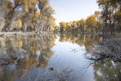 ​沙雅县——新疆秘境中的宝藏旅游地