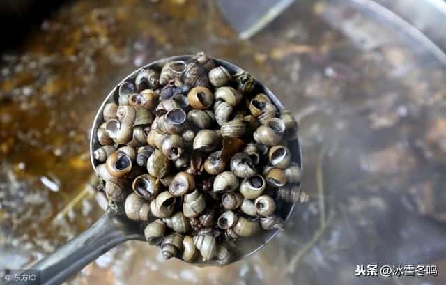 螺蛳粉配料大全（螺蛳粉配料汤料配方）