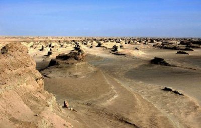 ​罗布泊又见飞鸟走兽