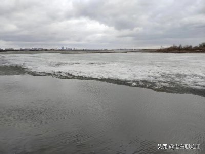 ​每年的开江鱼